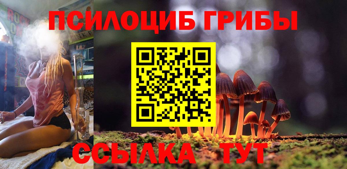 Псилоцибиновые грибы прущие грибы Зерноград