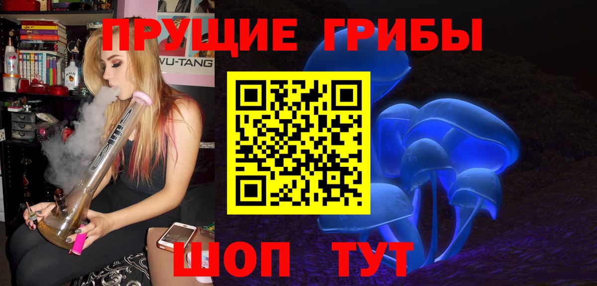 Галлюциногенные грибы Cubensis  Вход с VPN  Зерноград 